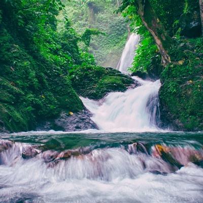 合晶弹头手游(暂未上线)v1.0 安卓版
