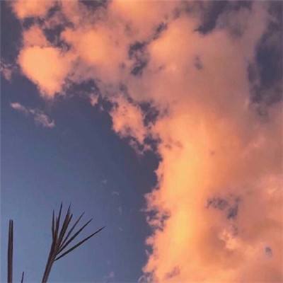 甜蜜的冒险手游下载